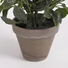 Umelá kvetina ruža v kvetináči 33x25 cm biela Náhľad obrázku produktu 7