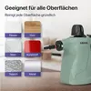 A light green steam cleaner is shown next to a grid of images illustrating different surfaces it can clean, with German text describing its features. Produktbild-Vorschau