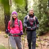 A man and a woman are hiking in a forest, using trekking poles. Produktbild-Vorschau