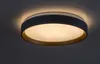 Rabalux 71185 Deckenleuchten Liatris2 LED 24 Metall Produktbild-Vorschau 11