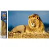 Norimpex Diamant Gemä lde Lion Majesty 30x40cm Produktbild-Vorschau 5