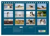 Australian Shepherd 2027 (Tischkalender 2027 DIN A5 quer), Produktbild-Vorschau 2