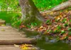 Immagine acustica paesaggio naturale 200x100 cm immagini Anteprima dell’immagine prodotto 4