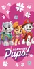 Jerry Fabrics Plážová osuška 70x140 Paw Patrol PP475 Náhled obrázku produktu 1