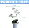 Dekorativní hedvábné orchideje bonsai, umělé květiny s Náhled obrázku produktu 5
