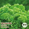 Samenliebe  Petersilie Samen | Mooskrause - winterhart & Produktbild-Vorschau 4