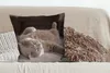 MuchoWow® Zierkissen Sofakissen Wohnzimmer Dekokissen 60x60 Produktbild-Vorschau 4