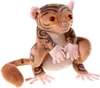 HEUNEC Schule: Magische dieren, Kobold Fitzgeraldo Productafbeelding-voorbeeld 4