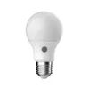 Energetische Led -Glühbirne A60 E27 8.8W 2700K 230 V - Mat Produktbild-Vorschau 1