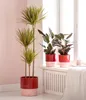 Dehner Übertopf Anne, handgefertigter Indoor Blumentopf, Ø Produktbild-Vorschau 2