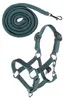 HKM Kids Halfter und Strick Hobby Horsing Basic Türkis Anteprima dell’immagine prodotto 1