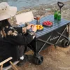 Duży wózek plażowy z kołami ze zbiornikiem, obrót 360°, Podgląd zdjęcia produktu 3