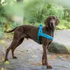 Nobby NORWEGER Geschirr "Classic Preno" L: 38-50 cm + 36 Produktbild-Vorschau 6
