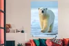 MuchoWow® Poster Eisbär - Jungtier - Schnee 120x160 cm - Produktbild-Vorschau 2