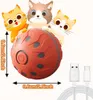 Interaktives Hundespielzeug, elektrischer Hundeball, Produktbild-Vorschau 2