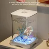 Mini Aquarium - Tisch-Aquarium Starterset - LED-Beleuchtung Produktbild-Vorschau 4
