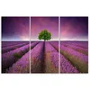 Triptychon auf leinwand blumen - violett 60x40 cm Feeby Produktbild-Vorschau 3