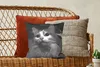 MuchoWow® Zierkissen Sofakissen Wohnzimmer Dekokissen 40x40 Produktbild-Vorschau 5