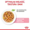 Royal Canin FHN Kitten Instinctive mokra karma dla kociąt w Náhled obrázku produktu 4