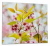 Wallario Herdabdeckplatte aus Glas, Größe 60 x 52 cm Produktbild-Vorschau 1