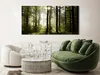 Wandbild Mega XXXL Wald 250x125 cm Einteiliger XXL-Format Produktbild-Vorschau 3