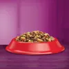 Whiskas Adult 1+ Katzentrockenfutter für Erwachsene Katzen Produktbild-Vorschau 7