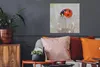 MuchoWow® Poster Marienkäfer auf Löwenzahn 50x50 cm - Produktbild-Vorschau 2
