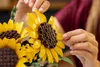 LEGO BOTANICALS 11502 Bouquet de tournesols Voir les images du produit 15