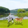 LARS360 Anthrazit Metall Teichzaun 10 Elemente, mobiler Produktbild-Vorschau 10