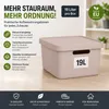Plastard Aufbewahrungsbox mit Deckel 3er-Set 19 Liter in Produktbild-Vorschau 2