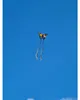 GÜNTHER BUTTERFLY Cerf-volant monoplace 95 cm Voir les images du produit 4