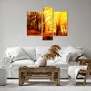 Bild auf Leinwand - Leinwandbild - Wald Baum Natur - Produktbild-Vorschau 6