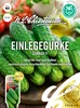 Einlegegurke Gunnar F1 | Einlegegurkensamen von N.L. Produktbild-Vorschau 1