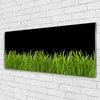 Acrylglasbilder 125x50 Wandbild Druck Gras Natur Produktbild-Vorschau 2