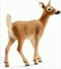schleich WILD LIFE 14710, 3 rok / roky, Viacfarebný, Plast, Náhľad obrázku produktu 4