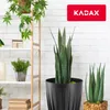 KADAX Blumentopf aus Kunststoff "Costa", mit Produktbild-Vorschau 5