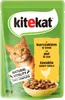 KITEKAT Portionsbeutel mit Huhn in Sauce Nassfutter für Produktbild-Vorschau 1