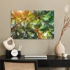 MuchoWow® Poster Ein Wald von Palmen 60x40 cm - Produktbild-Vorschau 3