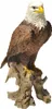 Dekofigur Gartenfigur Weißkopfseeadler Produktbild-Vorschau 1