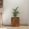 A plant in a planter sits next to a wooden desk in a room. Anteprima dell’immagine prodotto