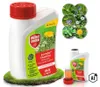 PROTECT GARDEN Universal-Rasenunkrautfrei Loredo Quattro Produktbild-Vorschau 18