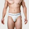 MM Sports The Original No. 10 Swimmer/Jogger Jockstrap 3 Náhled obrázku produktu 2