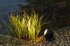 Teich Beleuchtung / LED Spot Set Pontec PondoStar LED Set 1 Produktbild-Vorschau 6