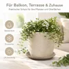 Pflanztopfuntersetzer Mira Taupe Ø 17cm - Frostsicher & Produktbild-Vorschau 2