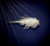 A small aquatic creature with feathery appendages is shown against a dark blue background with light rays emanating from the top left. Voir les images du produit