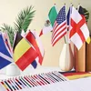 AhfuLife 48 Länder Kleine Länderfähnchen für WM Deko 2026, Produktbild-Vorschau 6