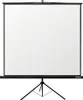 Reflecta 87654, Manuálne, 125 cm, 125 cm, 1:1 Náhľad obrázku produktu 1