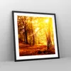 Gerahmtes Poster - Schwarzer Rahmen - Wald Baum Natur - Produktbild-Vorschau 8