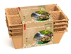 romberg VASI PER LA CRESCITA 10091104 6cm quadrati 24pcs Anteprima dell’immagine prodotto 1