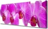 Tulup Leinwand-Bilder 125x50 Wandbild Canvas Kunstdruck Produktbild-Vorschau 1